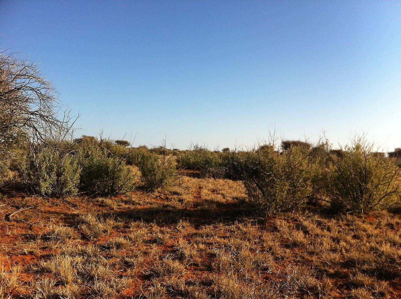 Northern Cape postal codes - CodeZA Northern Cape province, South Africa - postal codes and area map
